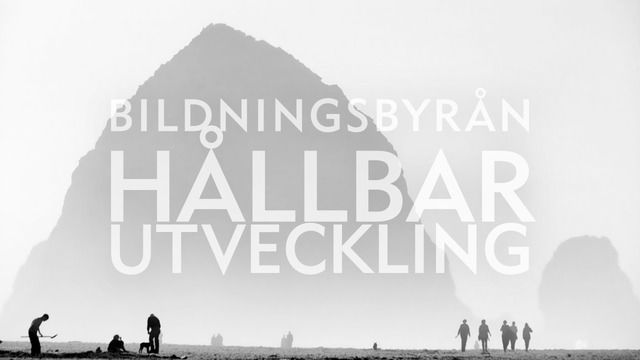 Bildningsbyrån Hållbar utveckling : Hållbar konsumtion