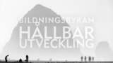 Bildningsbyrån Hållbar utveckling : Hållbar konsumtion