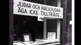 Ramp om historia : Nazismen i Sverige under andra världskriget