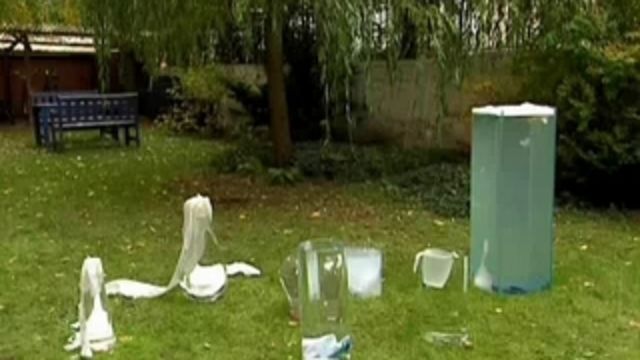 Runt i naturen - Runt runt runt