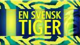 En svensk tiger