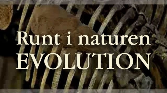 Runt i naturen - Evolution