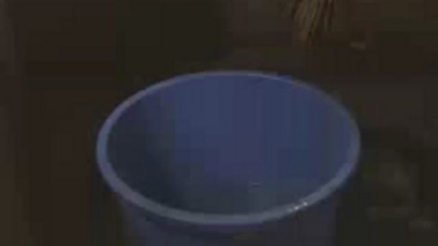 Bombay