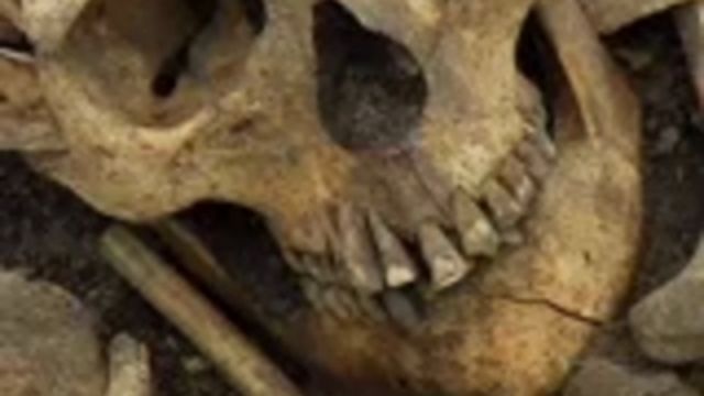 Sveriges historia : Under våra fötter - Stenåldern