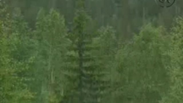 UR-Akademin. Samlade kurser. : På naturens villkor