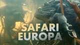 Safari Europa