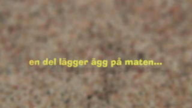 Runt i naturen - Här kommer äggdjuren : En del lägger ägg på maten