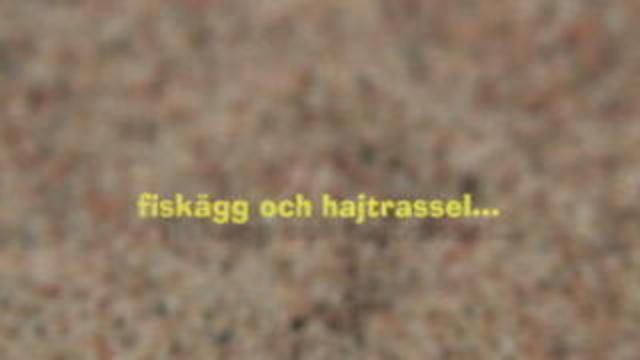 Runt i naturen - Här kommer äggdjuren : Fiskägg och hajtrassel