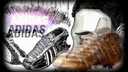 Anaconda : Sneakers