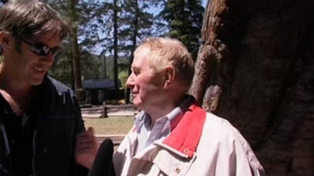 Farlig fritid : Redwood - världens högsta träd