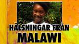 Hälsning från Malawi