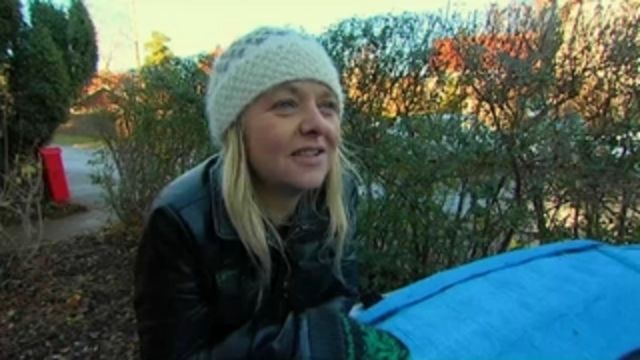 Rättens riddare