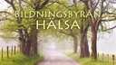 Bildningsbyrån - hälsa : Sexualitetens helande kraft