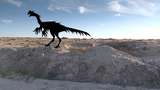 Drakben och dinosaurier : Gigantoraptor