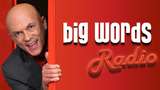 Bild för programmet BiG Words
