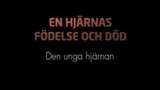 Bild för programmet En hjärnas födelse och död : Den unga hjärnan