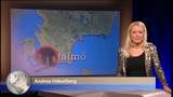 Lilla Löpsedeln : 2010-11-11