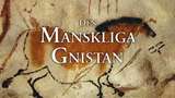 Den mänskliga gnistan