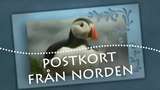 Postkort från Norden