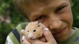 Mitt husdjur och jag : Hamster