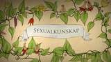 Sexualkunskap