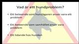 UR Samtiden - Hunden i tv : Så säger vetenskapen om hundproblem