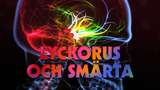 Lyckorus och smärta