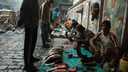 Anaconda Society : India
