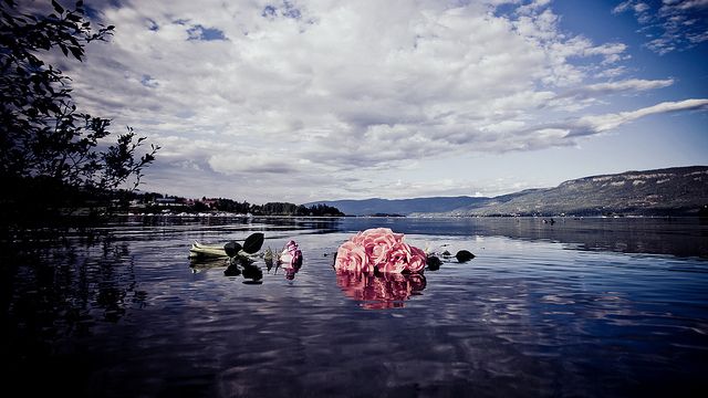 UR Samtiden Tema : Efter Utøya