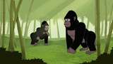 Earth savers : Virungabergens sista bergsgorillor