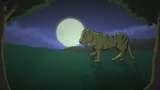 Bild för programmet Earth savers : Den indiske tigerpojken