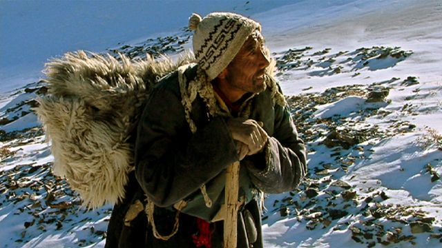 Världen : Himalayas nomader