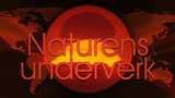 Naturens underverk