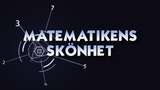 Matematikens skönhet