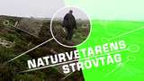Naturvetarens strövtåg