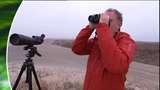 Naturvetarens strövtåg : Fåglar vid Skagen