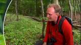 Naturvetarens strövtåg : Fjärilsjakt