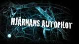 Hjärnans autopilot