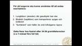 Bild för programmet UR Samtiden - Andningen och livet