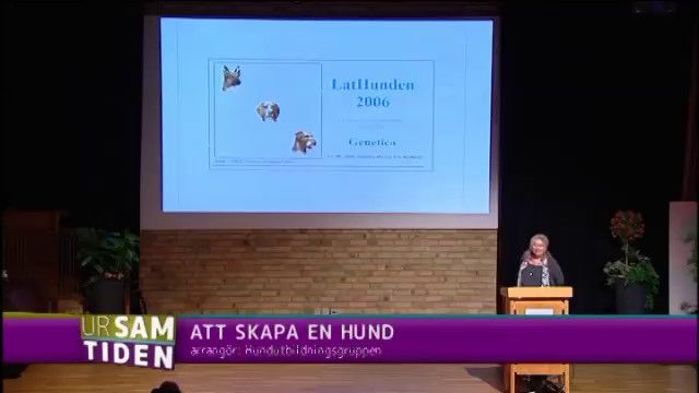 UR Samtiden - Att skapa en hund : Avelsresultat