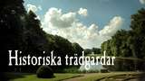 Historiska trädgårdar