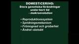 UR Samtiden - Genmodifierade växter - ja eller nej? : Modern modifiering och gamla lantsorter
