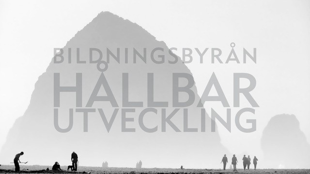 Programbild
