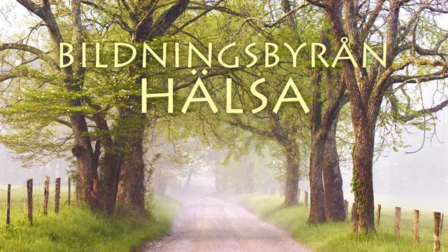 Programbild