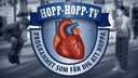 Hopp hopp tv