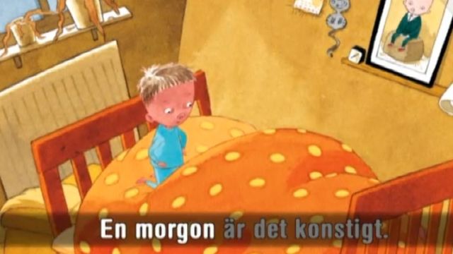 Programbild