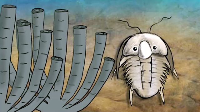 Animated science - Magma : Trilobiten