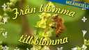 Från blomma till blomma - meänkieli
