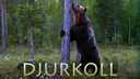 Djurkoll - finska