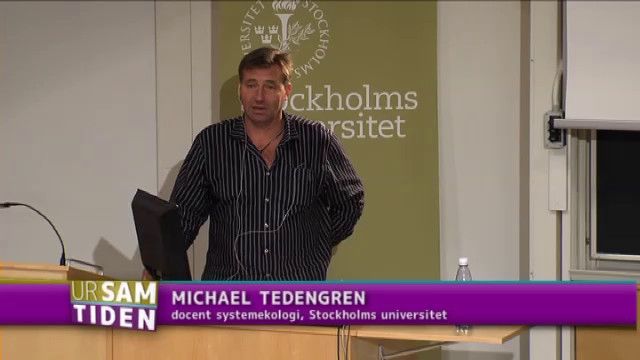 UR Samtiden - Oljeutsläppet i Mexikanska golfen : Förstörd natur